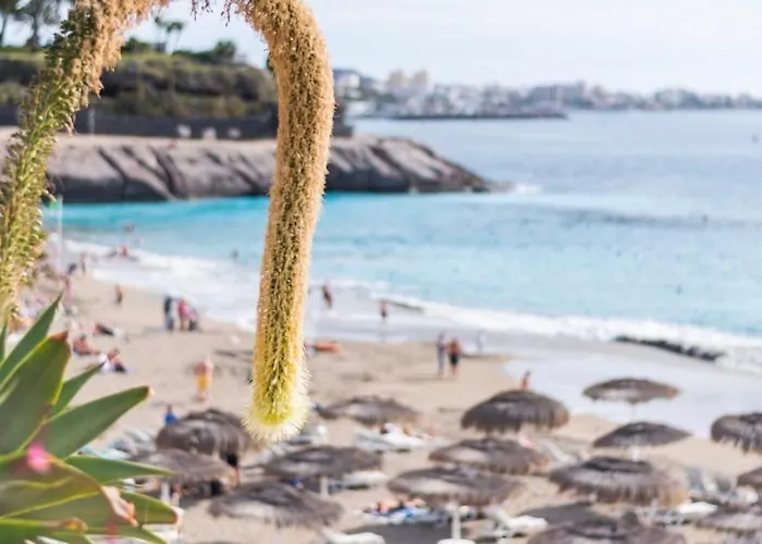 Casa Sofia Premium In *